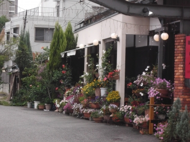 「親和花園」　（愛知県名古屋市西区）の花屋店舗写真1
