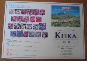 p2180010