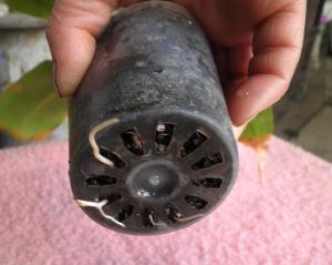 p3020009