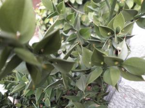 p4110003