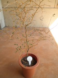 p4130012