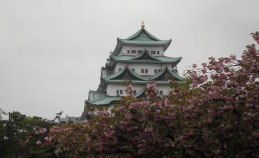 p4260053