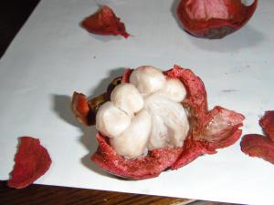 dscf2035