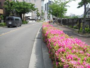 dscf2037