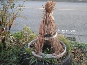 dscf46341