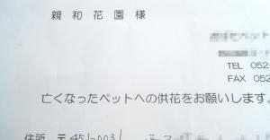 dscf46453