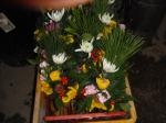 dscf4754