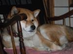 dscf4825