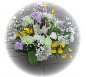dscf4916
