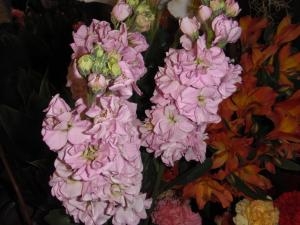 dscf49922