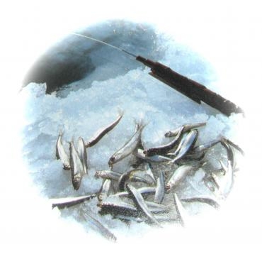 dscf5043