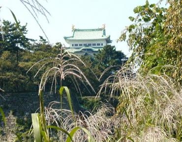 susuki