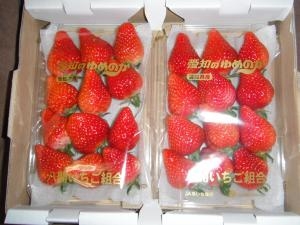 dscf53351