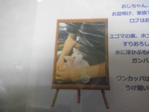 dscf5444