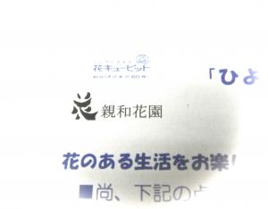dscf5471