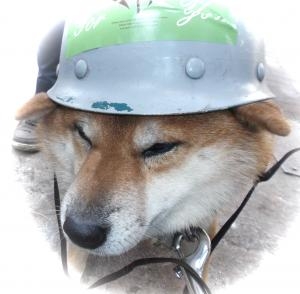 0241