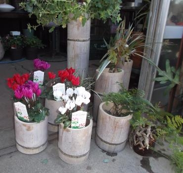 和風に！｜「親和花園」　（愛知県名古屋市西区の花キューピット加盟店 花屋）のブログ