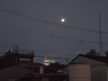 016