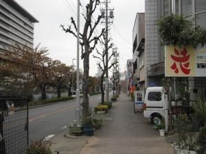 dscf42462-300x225