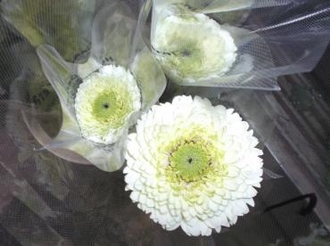 00116