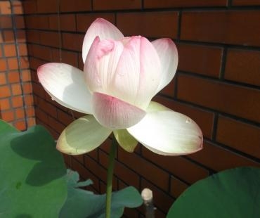 0032