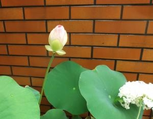 0052