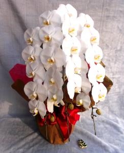 0062