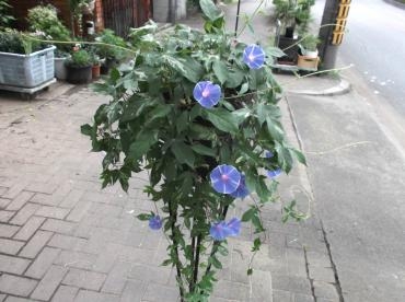 0031