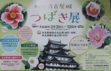 若者あふれる名古屋の街、｜「親和花園」　（愛知県名古屋市西区の花キューピット加盟店 花屋）のブログ